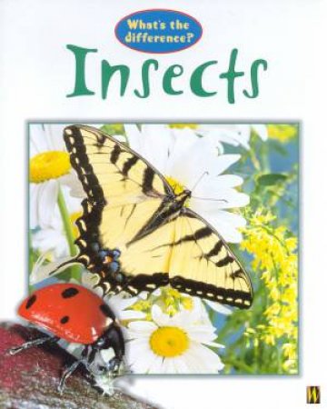 What's The Difference?: Insects by Stephen Savage