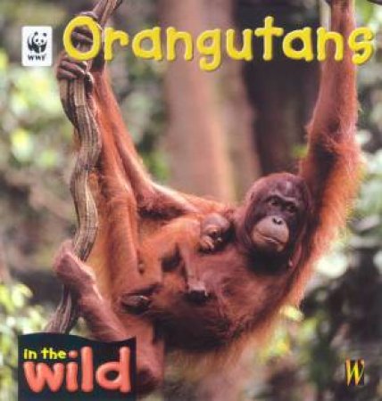 In The Wild: Orangutans by Patricia Kendell