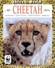Natural World Cheetah
