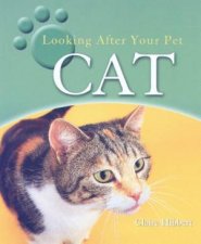 Looking After Your Pet Cat