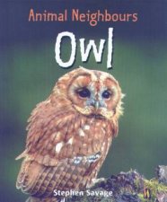 Animal Neighbours Owl