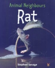 Animal Neighbours Rat