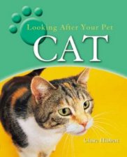 Looking After Your Pet Cat