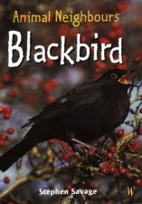 Animal Neighbours Blackbird