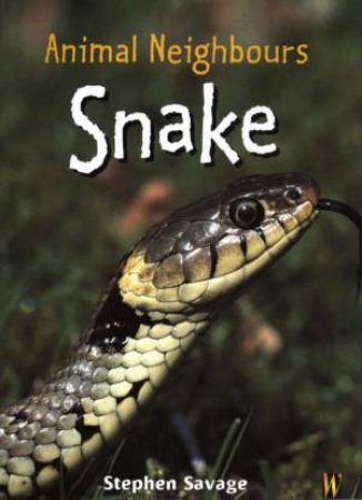 Animal Neighbours: Snake by Stephen Savage