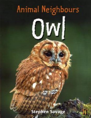 Animal Neighbours: Owl by Stephen Savage