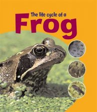 Life Cycles Frog