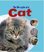 Life Cycles Cat