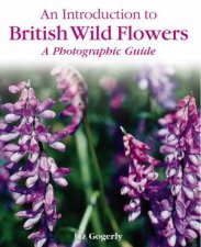 An Introduction To British Wild Flowers
