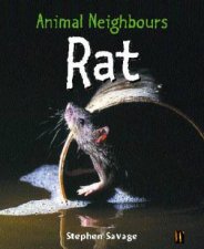 Animal Neighbours Rat
