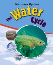 Natures Cycles The Water Cycle
