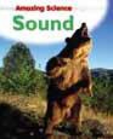 Amazing Science: Sound by Sally Hewitt
