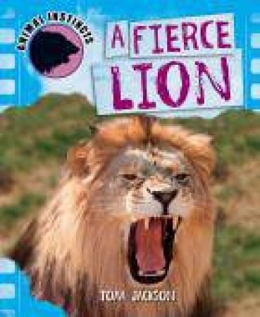A Fierce Lion by Tom Jackson