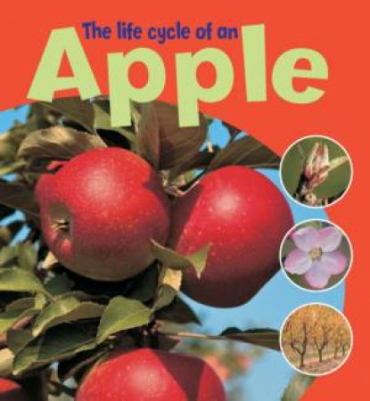 The Life Cycle of an Apple by Ruth Thomson