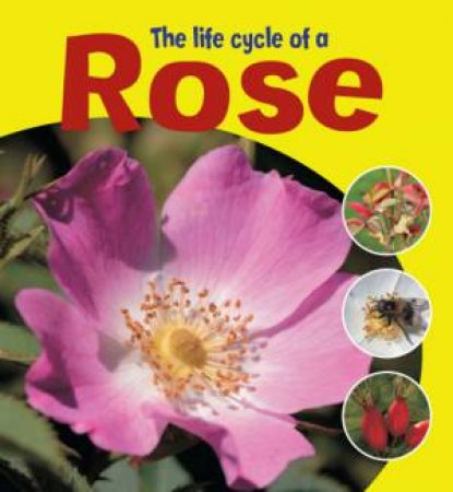 The Life Cycle of a Rose by Ruth Thomson