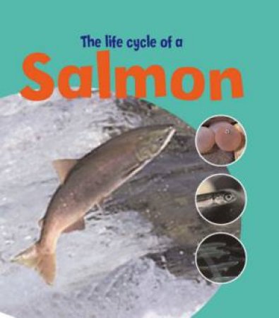The Life Of A Salmon by Ruth Thomson