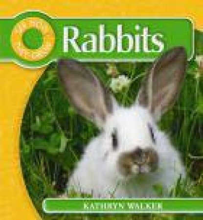 Rabbits by Kathryn Walker