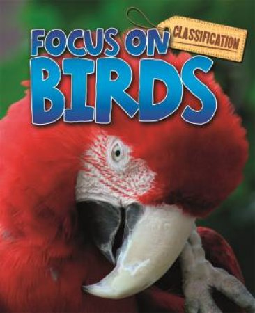 Classification: Focus on: Birds by Stephen Savage
