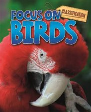 Classification Focus on Birds