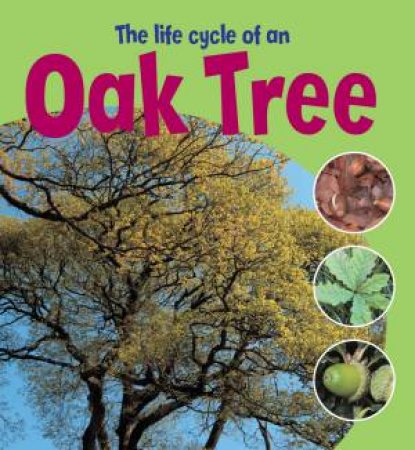 Learning About Life Cycles: The Life Cycle of an Oak Tree by Ruth Thomson