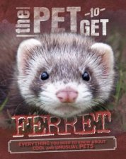 The Pet to Get Ferret
