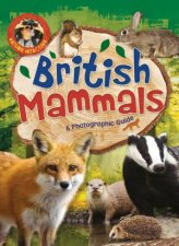 Nature Detective British Mammals