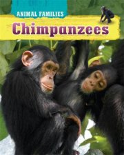 Animal Families Chimpanzees