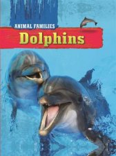 Animal Families Dolphins