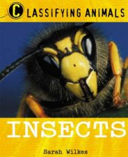 Classifying Animals Insects
