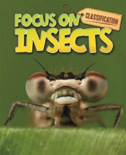 Classification Focus on Insects