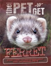 The Pet To Get Ferret