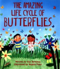 Look And Wonder The Amazing Life Cycle Of A Butterfly