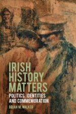 Irish History Matters Politics Identities And Commemoration
