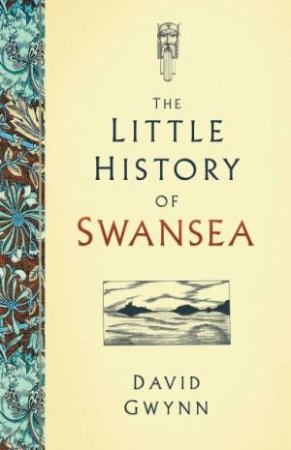 The Little History Of Swansea by David Gwynn