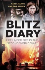 Blitz Diary Life Under Fire In The Second World War