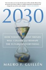 2030 How Todays Biggest Trends Will Collide And Reshape The Future Of Everything