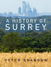 A History Of Surrey