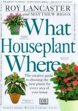 What Houseplant Where