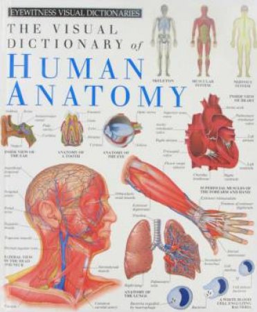 Visual Dictionary Of Human Anatomy by Various