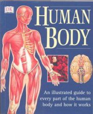 The Human Body