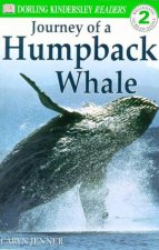 Journey Of A Humpback Whale