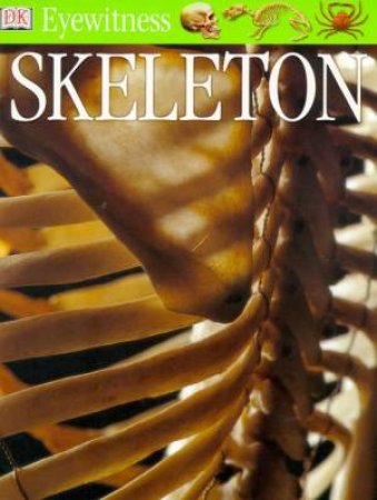 DK Eyewitness Guides: Skeleton by Various
