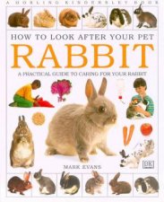 How To Look After Your Pet Rabbit