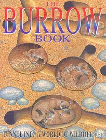 The Burrow Book: Tunnel Into A World Of Wildlife by Richard Orr