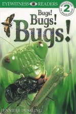 Bugs Bugs Bugs