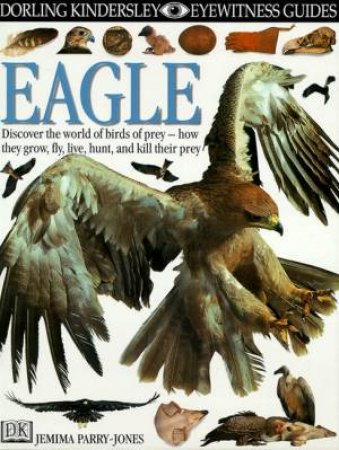 Eyewitness Guides: Eagle by Various