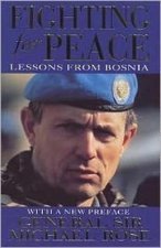 Fighting For Peace Lessons From Bosnia