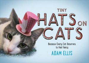 Tiny Hats on Cats by Adam Ellis