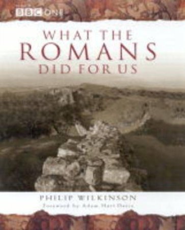 What The Romans Did For Us by Philip Wilkinson