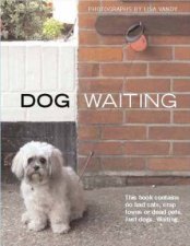 Dog Waiting